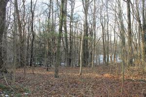 655 Campbell Rd, Douglas, MI 49406 photo 7