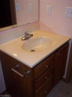 235 Eaglehurst Dr, Jerome, MI 49249 photo 15
