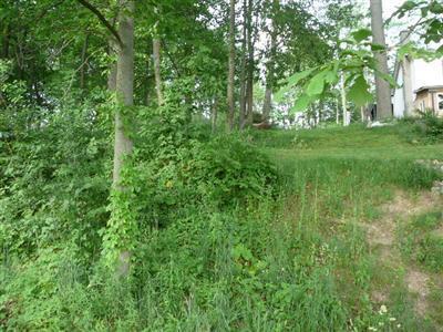 7830 Ribeck Ln, Reading, MI 49274 photo 16