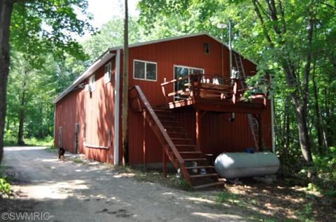 10716 Fish Rd, Belding, MI 48809 photo 8