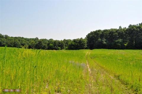 10716 Fish Rd, Belding, MI 48809 photo 2
