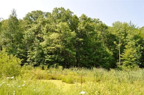 10716 Fish Rd, Belding, MI 48809 photo 11