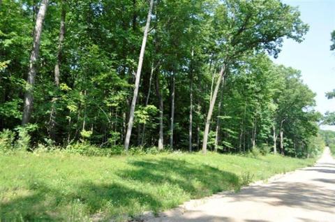 10716 Fish Rd, Belding, MI 48809 photo 9