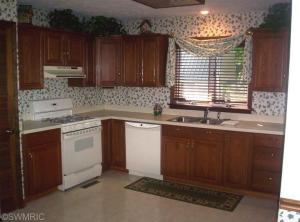 3937 E Shore Dr, Stanton, MI 48888 photo 7