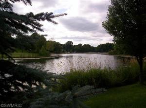 3937 E Shore Dr, Stanton, MI 48888 photo 4
