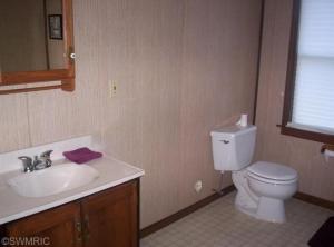 3937 E Shore Dr, Stanton, MI 48888 photo 18