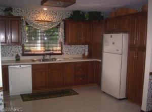 3937 E Shore Dr, Stanton, MI 48888 photo 6