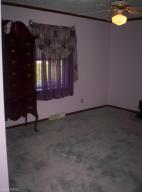 3937 E Shore Dr, Stanton, MI 48888 photo 13