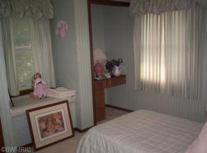 3937 E Shore Dr, Stanton, MI 48888 photo 14