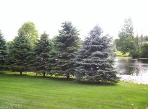 3937 E Shore Dr, Stanton, MI 48888 photo 5