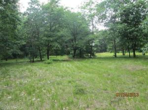 3097 S Locust Ave, White Cloud, MI 49349 photo 3