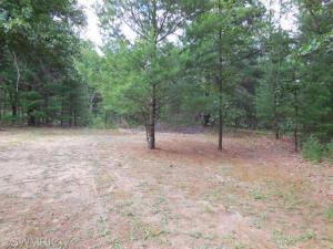 4794 E 28th St, White Cloud, MI 49349 photo 2