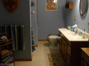 541 Forstrom Dr, Lowell, MI 49331 photo 17