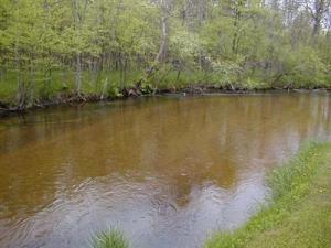 9225 S James Rd, Baldwin, MI 49304 photo 6