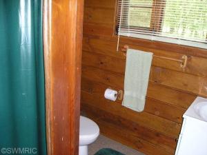 9225 S James Rd, Baldwin, MI 49304 photo 11