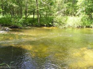 9225 S James Rd, Baldwin, MI 49304 photo 5