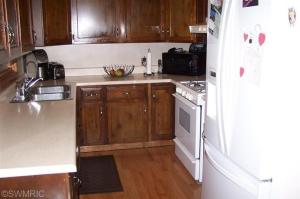 7420 N Johnson Rd, Lakeview, MI 48850 photo 19