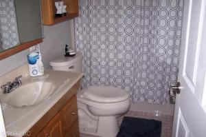 7420 N Johnson Rd, Lakeview, MI 48850 photo 15