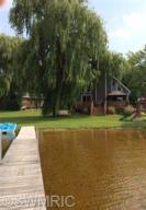 1071 Thompson, Stanton, MI 48888 photo 3