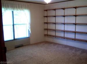 78 Lakeside Dr, Stanton, MI 48888 photo 16