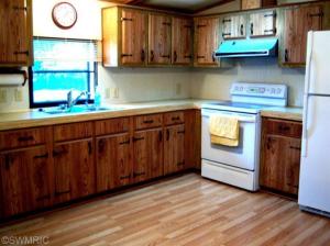 78 Lakeside Dr, Stanton, MI 48888 photo 10