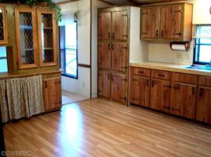 78 Lakeside Dr, Stanton, MI 48888 photo 9