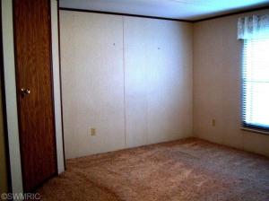 78 Lakeside Dr, Stanton, MI 48888 photo 17