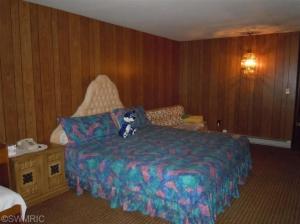 58390 Loop Rd, Three Rivers, MI 49093 photo 11