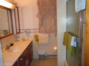 58390 Loop Rd, Three Rivers, MI 49093 photo 14