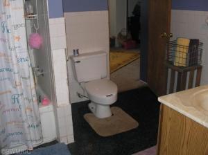 620 White Pigeon St, Constantine, MI 49042 photo 16