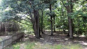 883 N Centerline Rd, White Cloud, MI 49349 photo 3