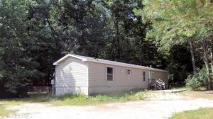 883 N Centerline Rd, White Cloud, MI 49349 photo 1