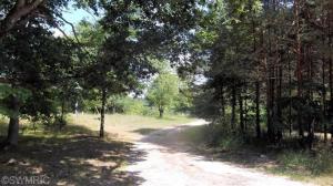 883 N Centerline Rd, White Cloud, MI 49349 photo 4