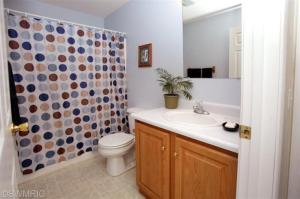 1085 5th St, Plainwell, MI 49080 photo 12