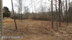8477 45th St, Ada, MI 49301 photo 23