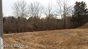 8477 45th St, Ada, MI 49301 photo 22