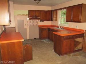 910 W Colon Rd, Bronson, MI 49028 photo 3