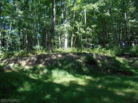 572 Emerald Dr, Newaygo, MI 49337 photo 3