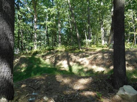 572 Emerald Dr, Newaygo, MI 49337 photo 4