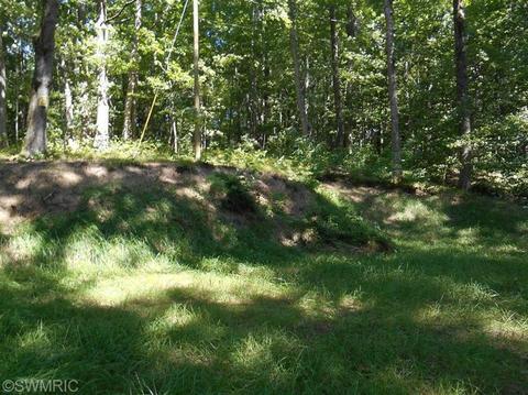 572 Emerald Dr, Newaygo, MI 49337 photo 5