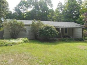 4102 E Shore Dr, Stanton, MI 48888 photo 1
