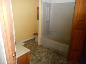 4102 E Shore Dr, Stanton, MI 48888 photo 6