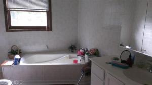 8845 Gurd Rd, Dowling, MI 49050 photo 9