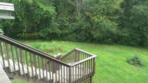 8845 Gurd Rd, Dowling, MI 49050 photo 20