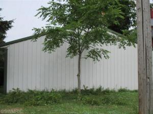 236 E South St, Hesperia, MI 49421 photo 19