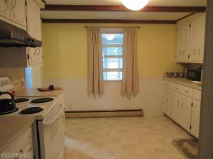 236 E South St, Hesperia, MI 49421 photo 14