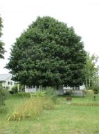 236 E South St, Hesperia, MI 49421 photo 5