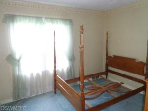 436 N Elizabeth St, Lyons, MI 48851 photo 19