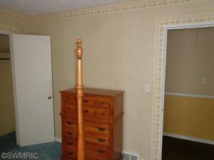436 N Elizabeth St, Lyons, MI 48851 photo 20
