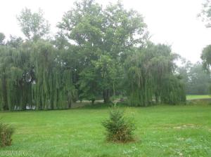 436 N Elizabeth St, Lyons, MI 48851 photo 8
